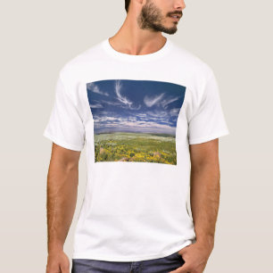 T-shirt USA, Oregon, Steens Mountain. Chirurgien de printe