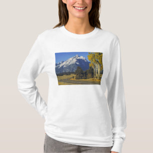 T-shirt USA, Wyoming, Grand Teton NP. Parkway de Teton