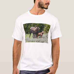 T-shirt USA, Wyoming, Montagnes Bighorn, Alces d'orignaux