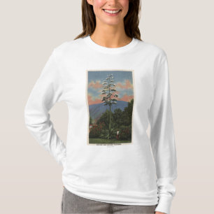 T-shirt Usine de CaliforniaCentury en fleur