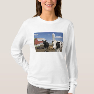 T-shirt Vaches devant une grange rouge et silo sur une fer