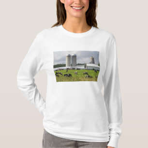 T-shirt Vaches laitières et ferme près du comté de Tayl