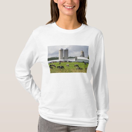 T-shirt Vaches laitières et ferme près du comté de Taylor (Devant)