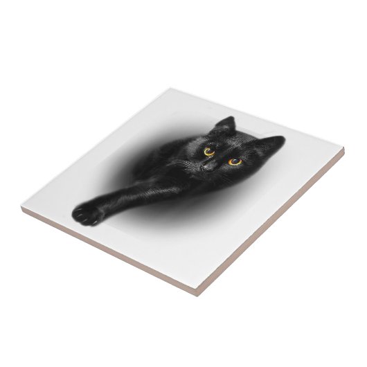 T-shirt van zwarte kattengeel T-shirt Tegeltje (Zijkant)