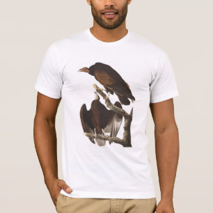 T-shirt Vautour de Turquie d'Audubon