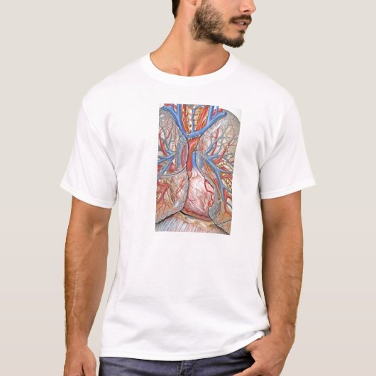 T-shirt Veines du Coeur (Devant)
