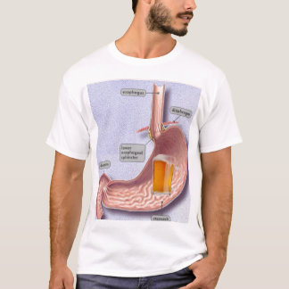 T-shirt Ventre de bière