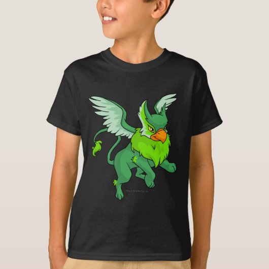 T-shirt Vert d'aire (Devant)