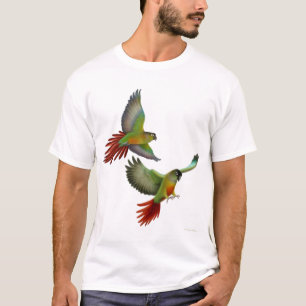 T-shirt vert de Cheeked Conures