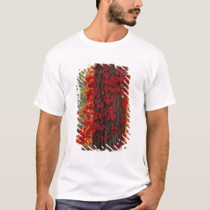 T-shirt Vigne vierge rouge vif en automne à