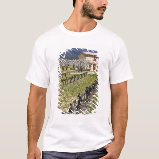 T-shirt Vignoble dormant, fleurs de fruits, maison en pier (Devant)