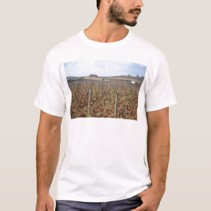 T-shirt vignoble en Bourgogne France meursault côte-d'or