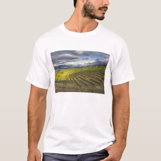 T-shirt Vignoble. Napa Valley. Napa. Comté de Napa, (Devant)