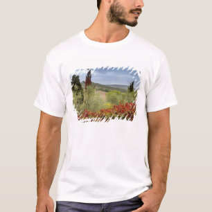 T-shirt Vignoble près de Montalcino, Toscane, Italie