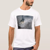 T-shirt Volcan Shiveluch en Russie (Devant)