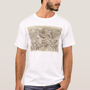 T-shirt Volcaniques de laques