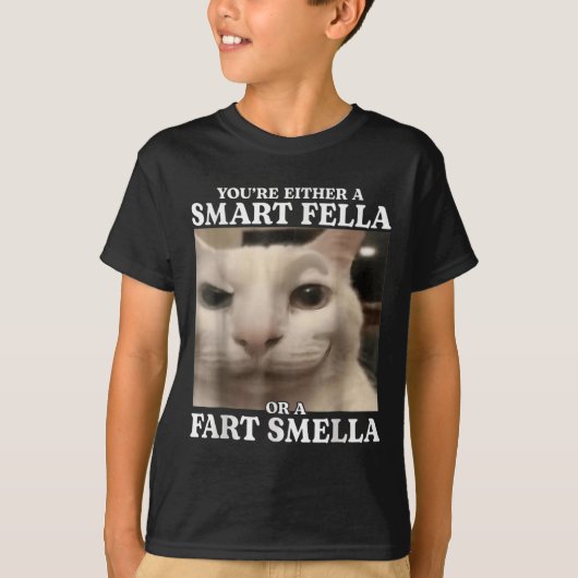 T-shirt Vous êtes un Fella intelligent ou un Fart Smella C (Devant)