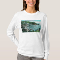 Vue aérienne d'Avalon et de baie