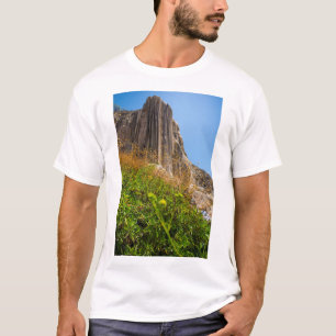 T-shirt Vue d'Agua d'EL de Hierve, Oaxaca, Mexique