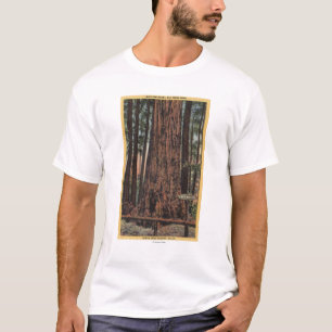 T-shirt Vue de "briseur de cou" au grand parc d'arbres