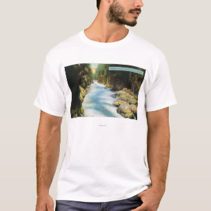 T-shirt Vue de canyon de Seymour