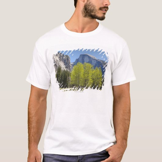 T-shirt Vue de demi de dôme (Devant)