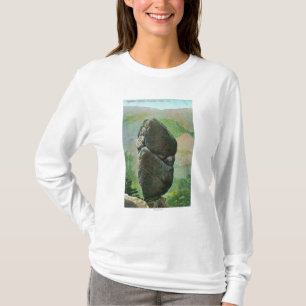 T-shirt Vue de parc national d'Aggassiz ColumnYosemite, CA