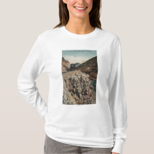 T-shirt Vue de train de Canon de boîte