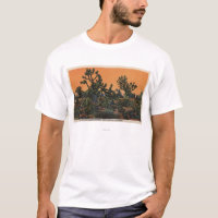 Vue des arbres de yucca dans le désert de Mohave