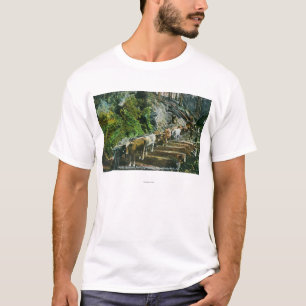 T-shirt Vue des Boeuf-Équipes transportant des rondins