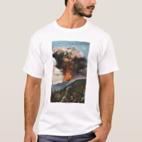 Vue d'incendie de forêt en montagnes