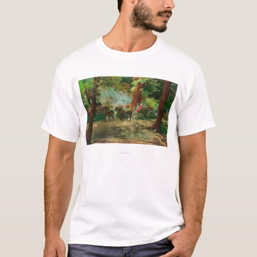 T-shirt Vue d'un car d'étape parmi de grands arbres (Devant)