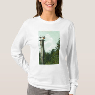T-shirt Vue d'un vent MillEureka, CA de séquoia