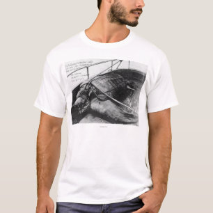 T-shirt Vue d'une tortue de mer géante en captivité