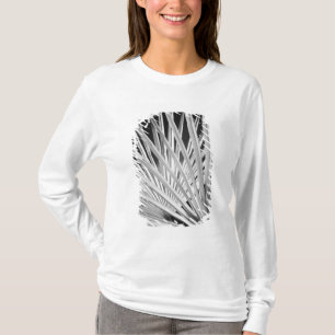 T-shirt Vue en noir et blanc de frondes de palmiers