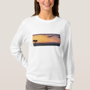 T-shirt Vue panoramique d'un acacia isolé à
