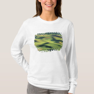 T-shirt WA, comté de Whitman, terres agricoles de Palouse,
