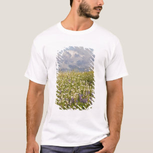 T-shirt WA, Mt. Baker Wilderness, Mt. Shuksan et