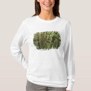 T-shirt WA, parc national Olympique, forêt pluviale de Hoh