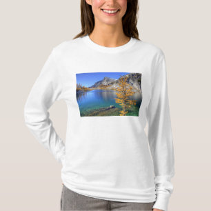 T-shirt WA, zone sauvage Alpine Lakes, Enchantment 4