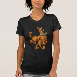 T-shirt Walk