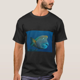 T-shirt Wally - Labre Maori
