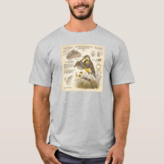 T-shirt Western Meadowlark Playing Flute – Funny Bird 