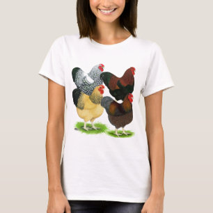 T-shirt Wyandotte : Assortiment de coq