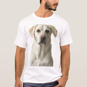 T-shirt Yellow Labrador Retriever (Devant)