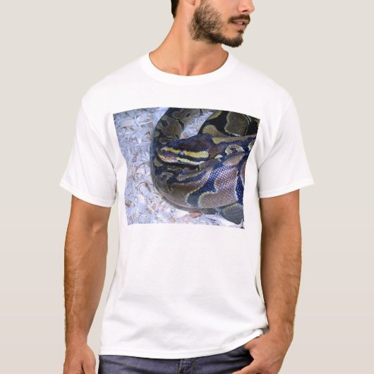 T-shirt Yeux de serpent (Devant)