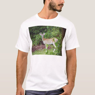 T-shirt Young Buck in Velvet