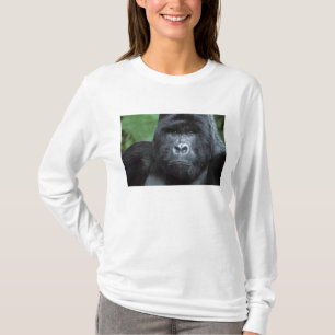 T-shirt Zaïre, Parc national des Virunga. Portrait de