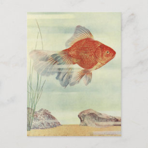 T-shirts, cartes & cadeaux de poisson d'or !