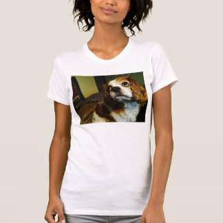 T-shirts cavalier d'épagneul du Roi Charles